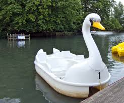 swan-pedalos